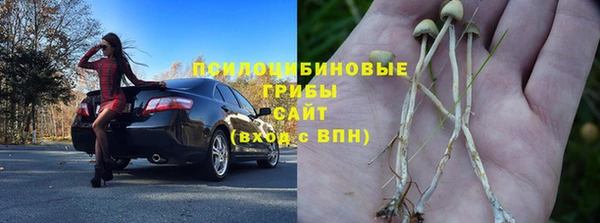 PSILOCYBIN Балабаново