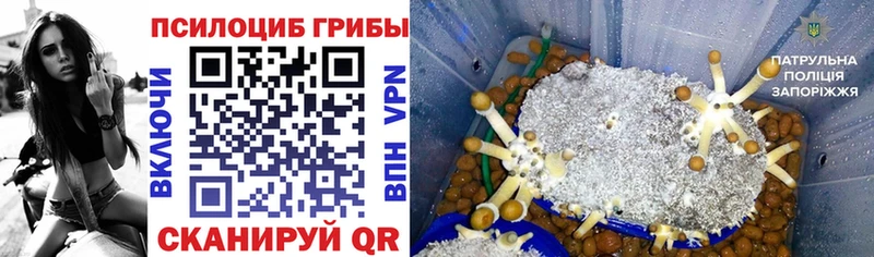 Псилоцибиновые грибы прущие грибы  Заозёрск 