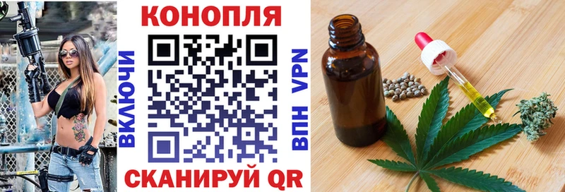 Шишки марихуана конопля  даркнет сайт  Заозёрск 
